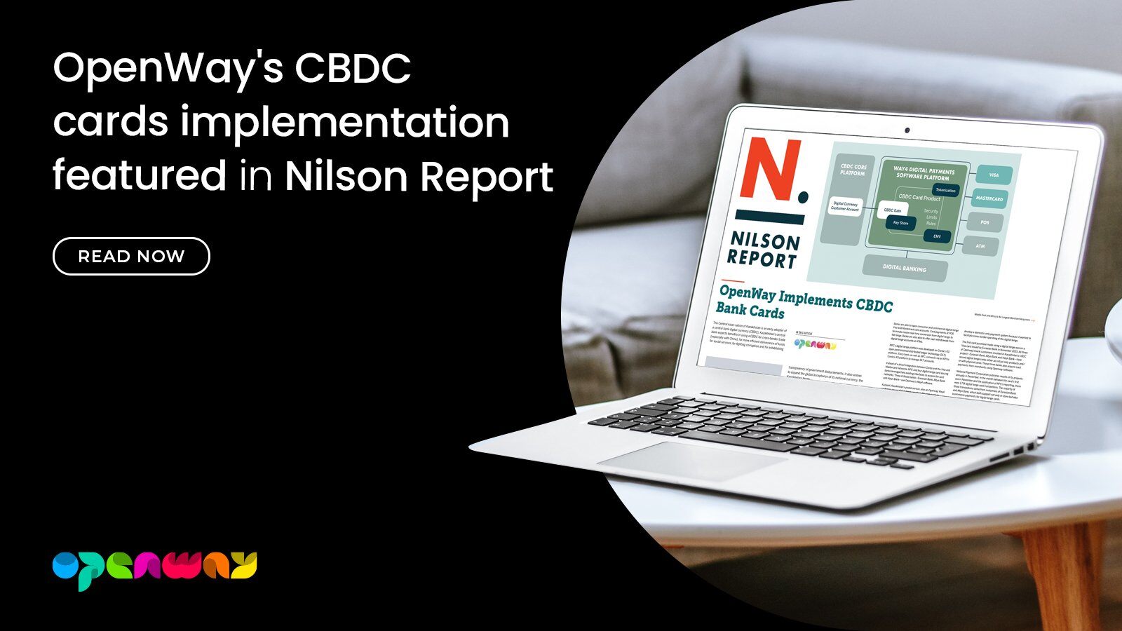 CBDC_Nilson_Report_website-